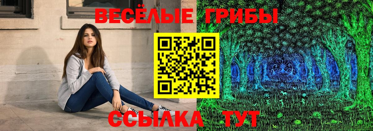 Псилоцибиновые грибы мицелий  где продают наркотики  Реутов  Вход с VPN 